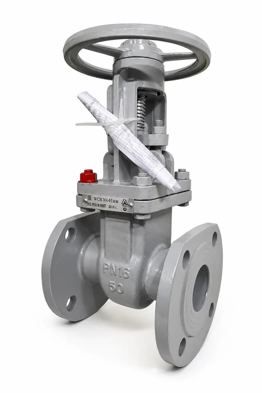 Задвижка стальная клиновая фланцевая 30с41нж DN50 PN16